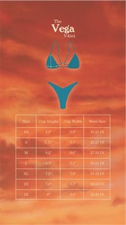 Vega V-Kini Bottom in Teal